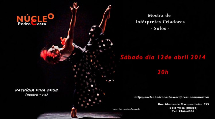 MOSTRA_solo-2014-pinacruz2